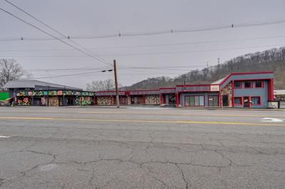 Cozy Kingsport Apartment: Walk to Cidery!