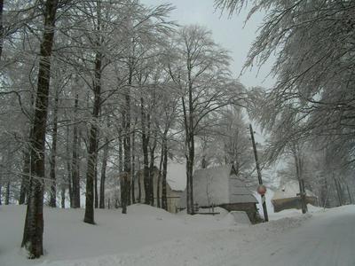 Remarkable 3-bed House in Zabljak