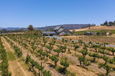 Coplan Vineyards by Avantstay 10-acre Estate w/ Pool, Spa, Bocce & Designer Interiors