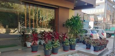 Hotel The Mango Tree