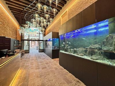 Hotel Aquarius Venice