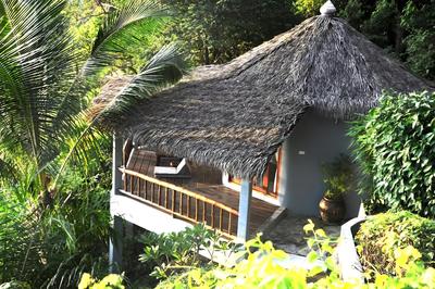 The Jungle Club