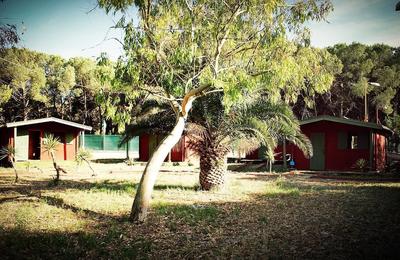 Falanto Camping Village, 사진 2