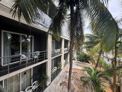 Echor Samara Morjim Goa Sea View Restro