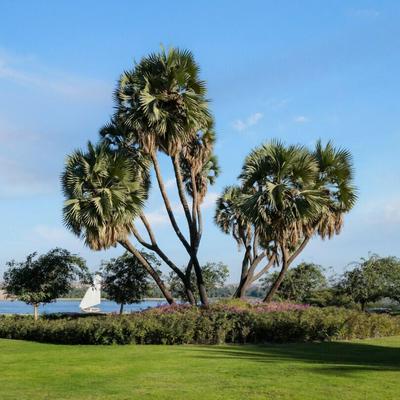 MGM Wellness Retreat