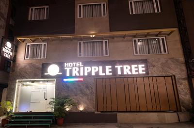 Hotel Tripple Tree