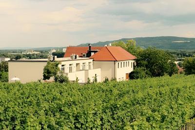 Wein-gut Hutter