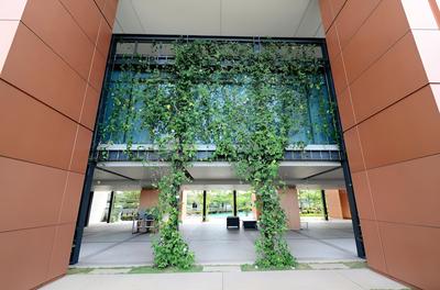 Ascencia TTDI by TBM