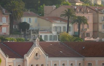 Les Palmiers Grasse