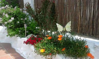 Primavera Bed & Breakfast