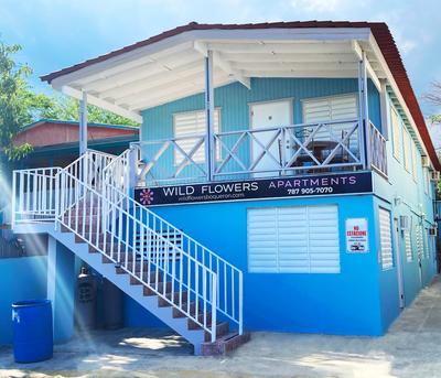 Wild Flowers Boquerón Apartments