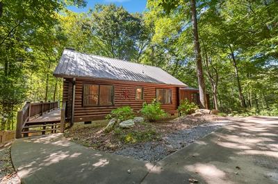 Dancing Bears Cabin With hot tub Fireplace Creek, Foto 2