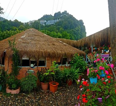 Calypso Kvariati Inn