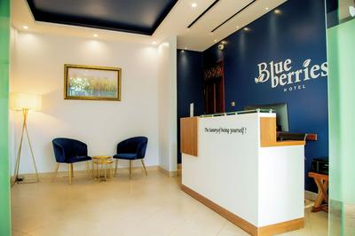 Blue Berries Hotel