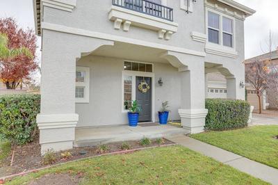 Modern California Escape Near Kayaking & Downtown!