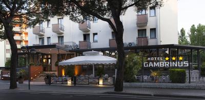 Hotel Gambrinus