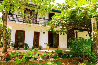 Yoho Milkyway Holiday Resort