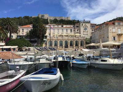 Charming Villa With Spacious Rooms and Private Swimming Pool in the Lavender Island of Hvar