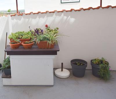Apartment Murva