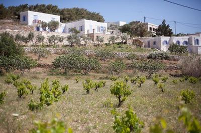 Good Life Greece Eco Villas