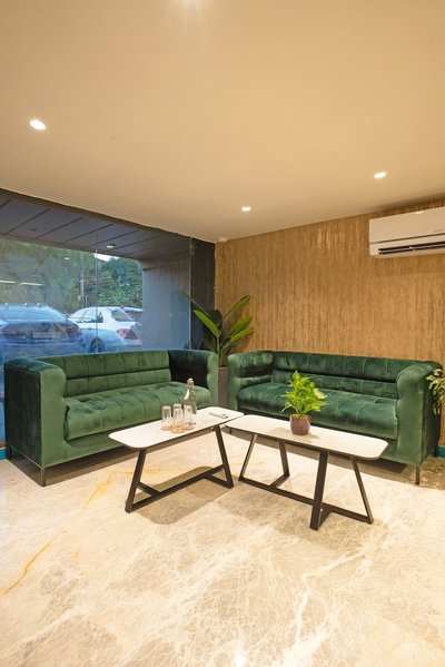 Saltstayz Premier Naraina Central Delhi