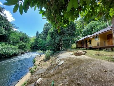 Khaosok Rainforest Resort