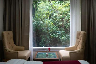 Hotel Wild Wood