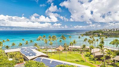 Napili Shores C117 Condo by Redawning