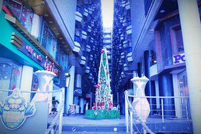 North Coast Princes - Alexandria