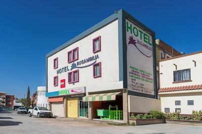 OYO Hotel Bugambilia San Luis Potosi