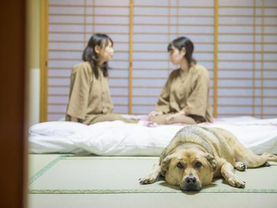 Matsusaka Wan Wan Paradise Forest Hotel