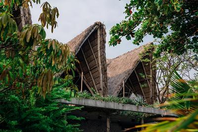 Puro Surf Hotel and Academy