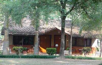 Safari Narayani Hotel- All Inclusive