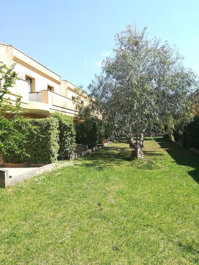Petraria Resort