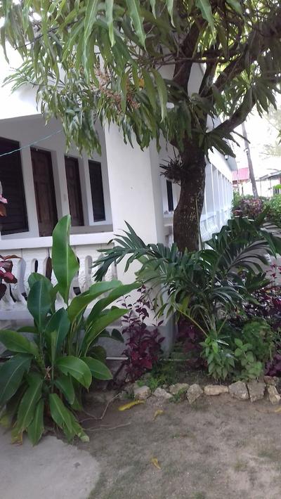 Roots Bamboo Beach Resort