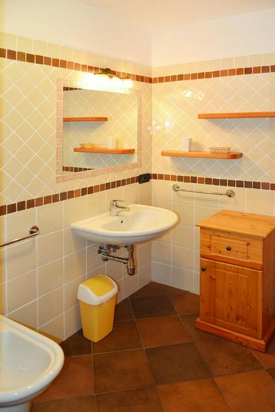 Apartment in Pellizzano With Paid Sauna