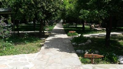 Hotel Yavuz Bungalow