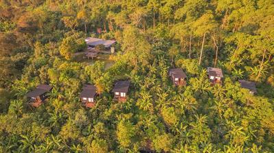 Hotel La Palma y El Tucan - Coffee & Nature