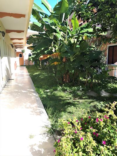 Sophie Studios