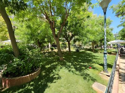 Helen's Place