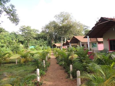Jungle Nest Homestay