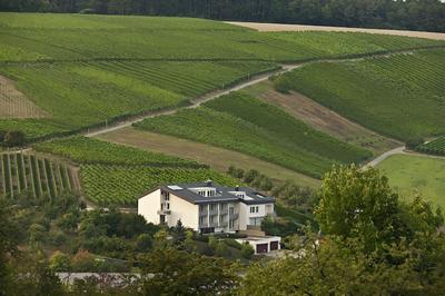 BENZ Weingut & Weinhotel