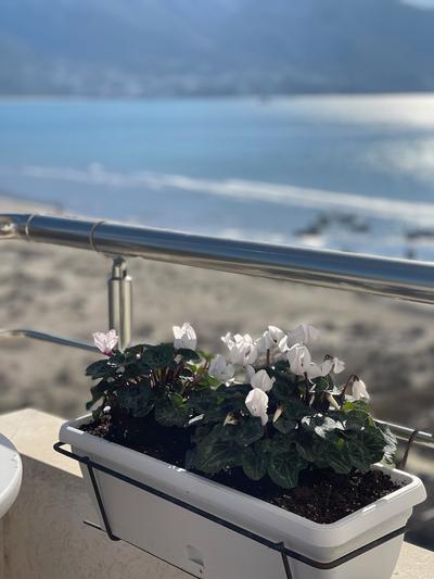 Seaview 2 Apartments Rental Vlore