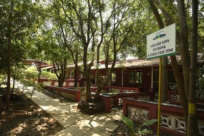 Wild Camp Resort