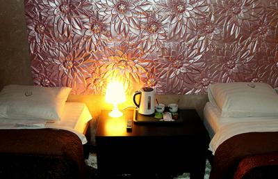 Diadema Sheremetyevo Guest House