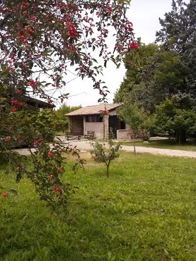 B&B L'Albero Cavo