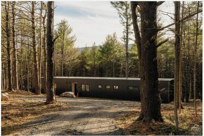 100ft of Forest Light - Modern Catskills Escape, 사진 2