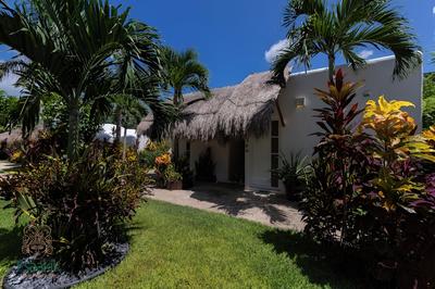 Tsaakik Jungle Hotel & Spa - Adults only