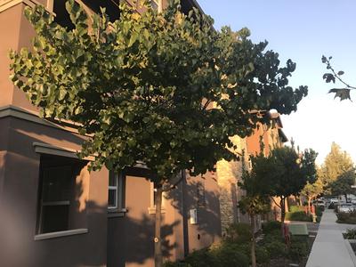 Shared Private Home at Santana Row