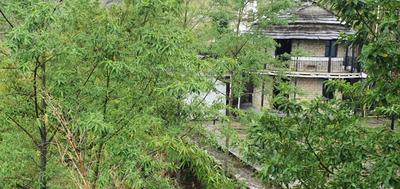 Pumdikot Mountain Lodge